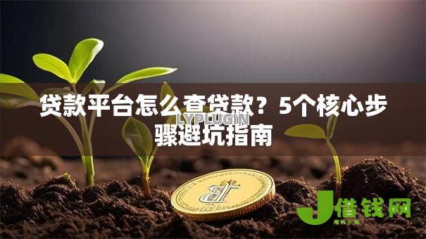 贷款平台怎么查贷款？5个核心步骤避坑指南