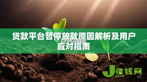 贷款平台暂停放款原因解析及用户应对指南