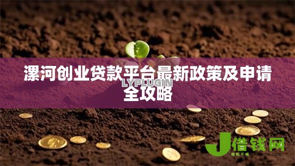 漯河创业贷款平台最新政策及申请全攻略