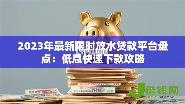 2023年最新限时放水贷款平台盘点：低息快速下款攻略