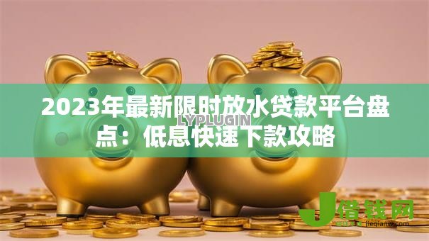 2023年最新限时放水贷款平台盘点：低息快速下款攻略