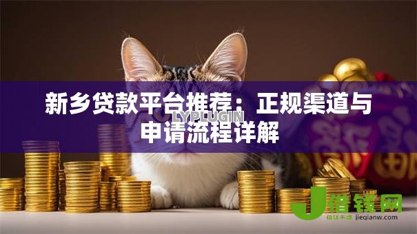 新乡贷款平台推荐：正规渠道与申请流程详解
