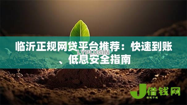 临沂正规网贷平台推荐：快速到账、低息安全指南