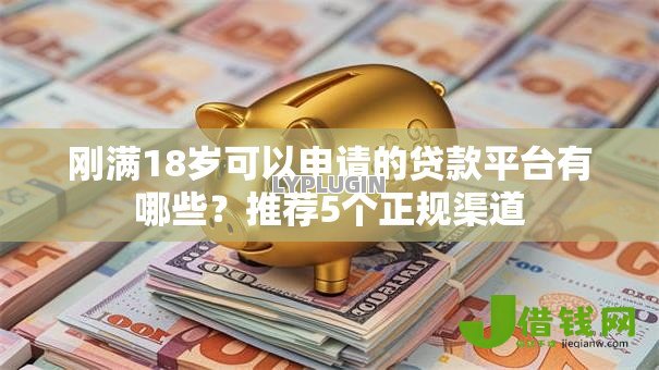 刚满18岁可以申请的贷款平台有哪些？推荐5个正规渠道
