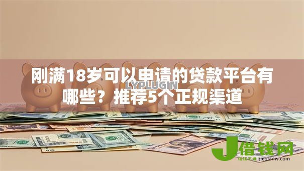 刚满18岁可以申请的贷款平台有哪些？推荐5个正规渠道