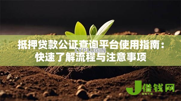 抵押贷款公证查询平台使用指南:快速了解流程与注意事项 抵押贷款公证查询平台使用指南:快速了解流程与注意事项