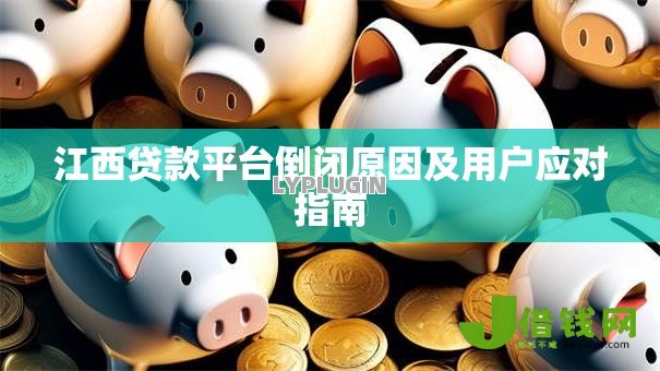江西贷款平台倒闭原因及用户应对指南 江西贷款平台倒闭原因及用户应对指南