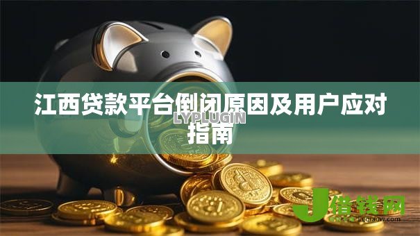 江西贷款平台倒闭原因及用户应对指南 江西贷款平台倒闭原因及用户应对指南