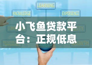 小飞鱼贷款平台：正规低息、灵活分期、快速放款指南