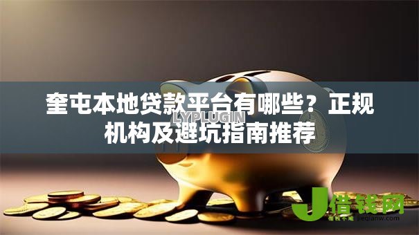 奎屯本地贷款平台有哪些？正规机构及避坑指南推荐