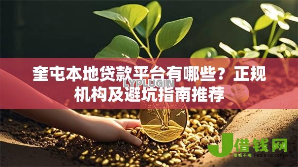 奎屯本地贷款平台有哪些？正规机构及避坑指南推荐