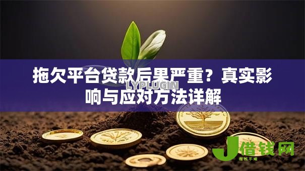 拖欠平台贷款后果严重？真实影响与应对方法详解