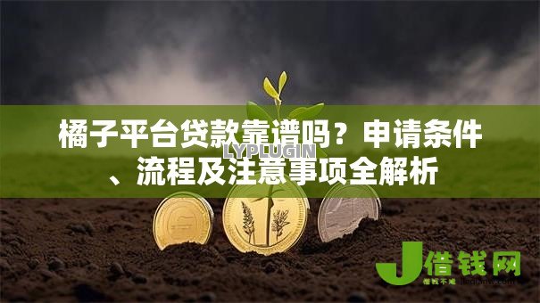 橘子平台贷款靠谱吗?申请条件、流程及注意事项全解析 橘子平台贷款靠谱吗?申请条件、流程及注意事项全解析