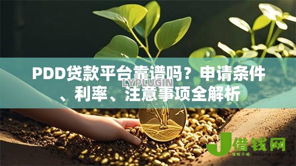 PDD贷款平台靠谱吗?申请条件、利率、注意事项全解析 PDD贷款平台靠谱吗?申请条件、利率、注意事项全解析