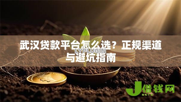 武汉贷款平台怎么选?正规渠道与避坑指南 武汉贷款平台怎么选?正规渠道与避坑指南