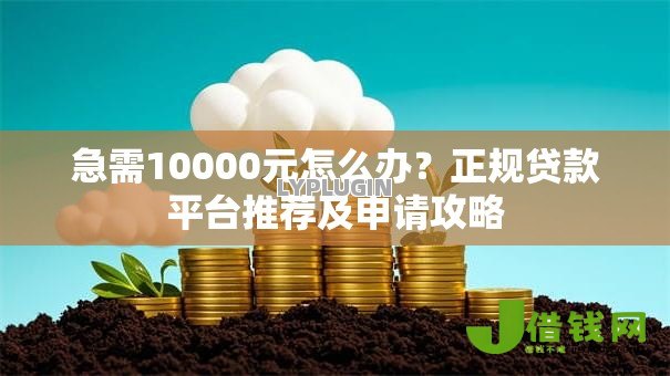 急需10000元怎么办?正规贷款平台推荐及申请攻略 急需10000元怎么办?正规贷款平台推荐及申请攻略