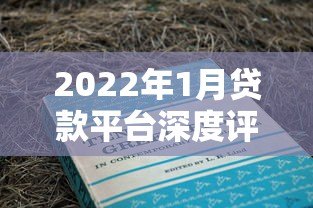 2022年1月贷款平台深度评测及使用指南