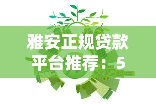 雅安正规贷款平台推荐：5大靠谱机构及申请流程解析