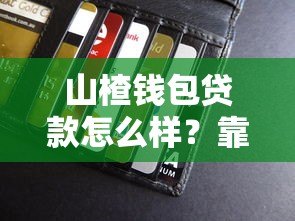 山楂钱包贷款怎么样？靠谱吗？真实测评+申请流程全解析