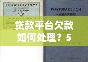 贷款平台欠款如何处理?5个实用解决方案避免逾期风险 贷款平台欠款如何处理?5个实用解决方案避免逾期风险