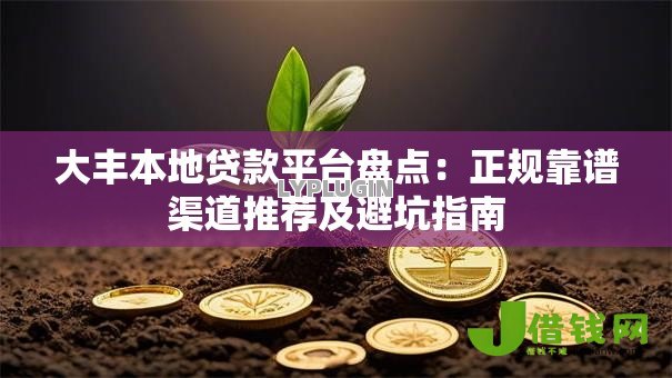 大丰本地贷款平台盘点：正规靠谱渠道推荐及避坑指南