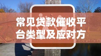 常见贷款催收平台类型及应对方法解析