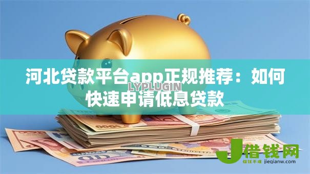 河北贷款平台app正规推荐：如何快速申请低息贷款