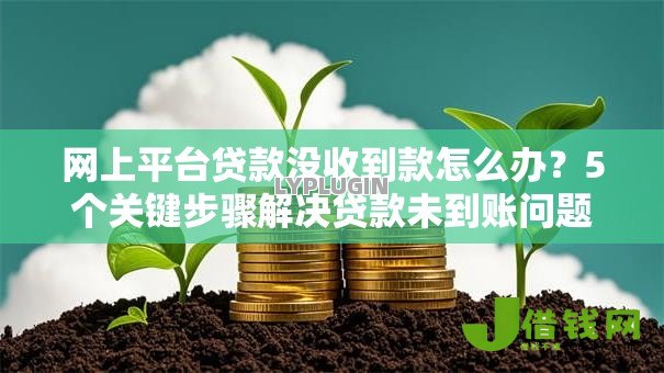 网上平台贷款没收到款怎么办？5个关键步骤解决贷款未到账问题