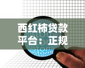 西红柿贷款平台:正规持牌机构 快速审批低息贷款方案解析 西红柿贷款平台:正规持牌机构 快速审批低息贷款方案解析
