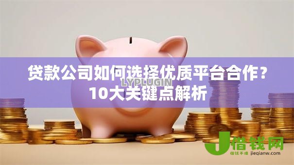 贷款公司如何选择优质平台合作？10大关键点解析