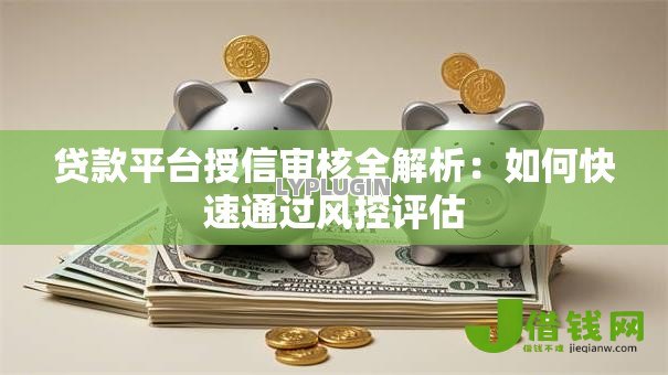 贷款平台授信审核全解析:如何快速通过风控评估 贷款平台授信审核全解析:如何快速通过风控评估