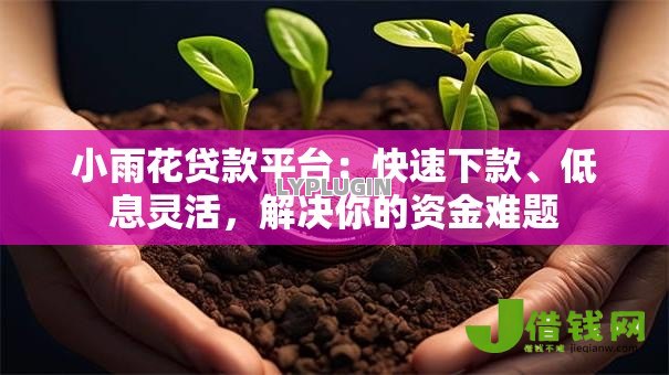 小雨花贷款平台：快速下款、低息灵活，解决你的资金难题