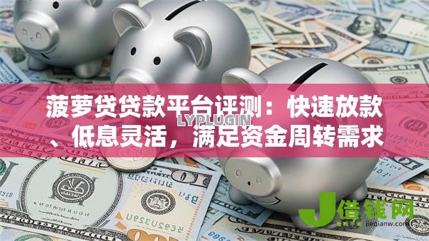 菠萝贷贷款平台评测：快速放款、低息灵活，满足资金周转需求