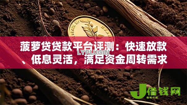 菠萝贷贷款平台评测：快速放款、低息灵活，满足资金周转需求