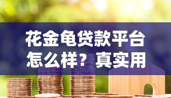 花金龟贷款平台怎么样?真实用户评测+优缺点全解析 花金龟贷款平台怎么样?真实用户评测+优缺点全解析