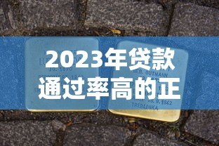 2023年贷款通过率高的正规平台评测及申请技巧