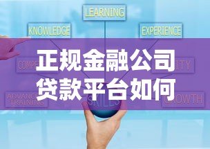 正规金融公司贷款平台如何选？5招教你避开套路贷