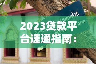 2023贷款平台速通指南:快速下款技巧与避坑攻略 2023贷款平台速通指南:快速下款技巧与避坑攻略