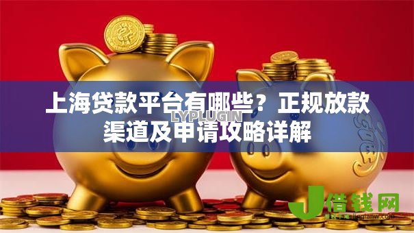 上海贷款平台有哪些？正规放款渠道及申请攻略详解