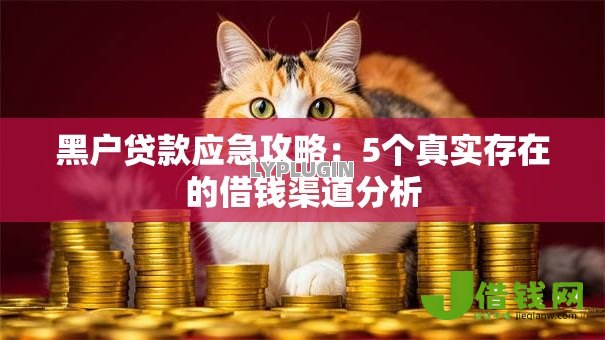 黑户贷款应急攻略:5个真实存在的借钱渠道分析 黑户贷款应急攻略:5个真实存在的借钱渠道分析