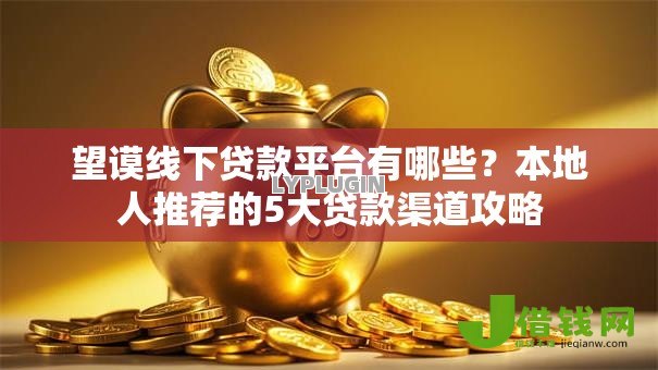 望谟线下贷款平台有哪些？本地人推荐的5大贷款渠道攻略