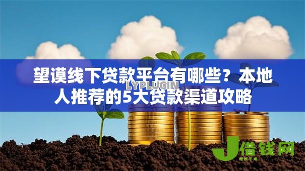 望谟线下贷款平台有哪些？本地人推荐的5大贷款渠道攻略