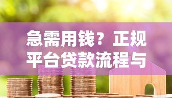 急需用钱?正规平台贷款流程与避坑指南 急需用钱?正规平台贷款流程与避坑指南