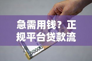 急需用钱?正规平台贷款流程与避坑指南 急需用钱?正规平台贷款流程与避坑指南