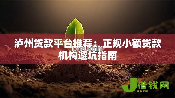 泸州贷款平台推荐:正规小额贷款机构避坑指南 泸州贷款平台推荐:正规小额贷款机构避坑指南