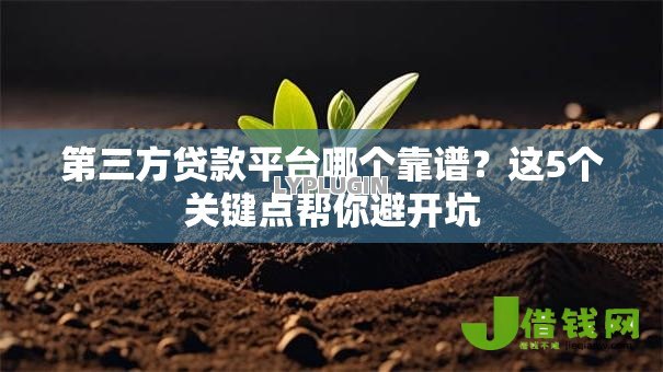 第三方贷款平台哪个靠谱？这5个关键点帮你避开坑