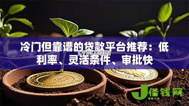 冷门但靠谱的贷款平台推荐:低利率、灵活条件、审批快 冷门但靠谱的贷款平台推荐:低利率、灵活条件、审批快