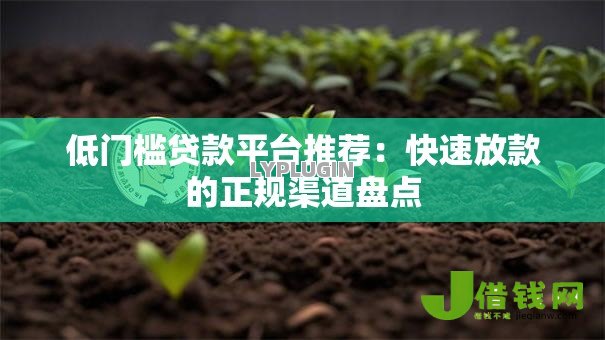 低门槛贷款平台推荐：快速放款的正规渠道盘点