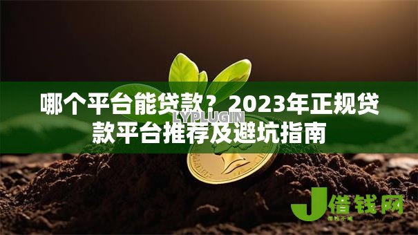 哪个平台能贷款？2023年正规贷款平台推荐及避坑指南