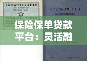 保险保单贷款平台:灵活融资新选择,快速解决资金需求 保险保单贷款平台:灵活融资新选择,快速解决资金需求